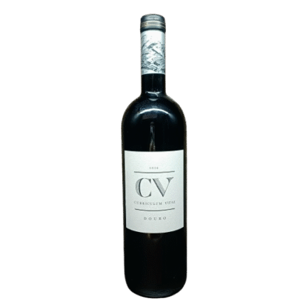 CV Curriculum Vitae Tinto 2016