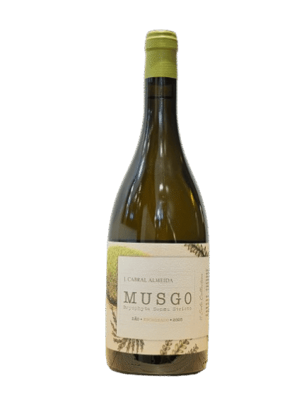 Musgo Encruzado Branco 2025